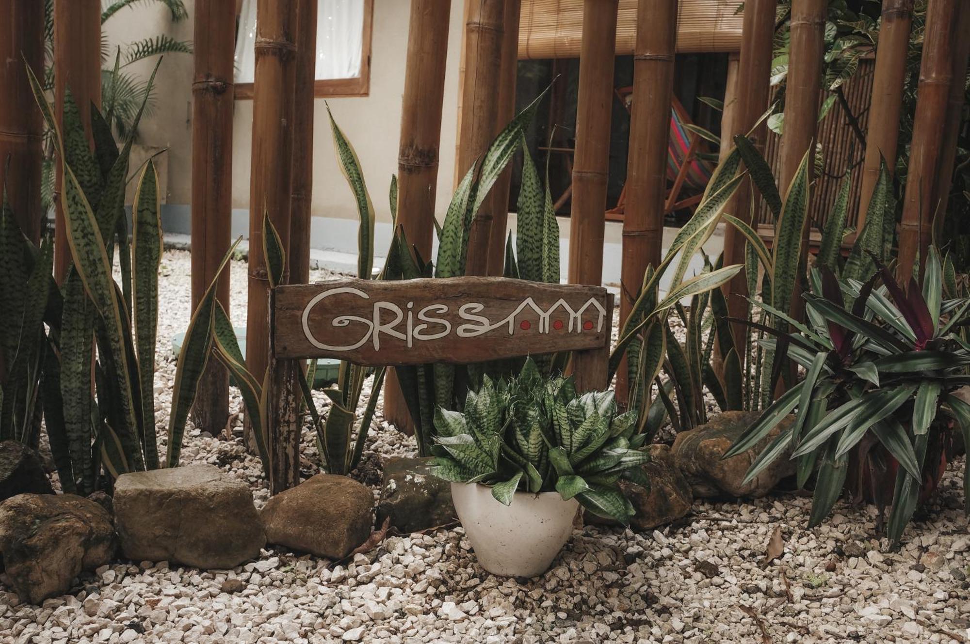 Griss Lodge & Spa Playa Santa Teresa  外观 照片