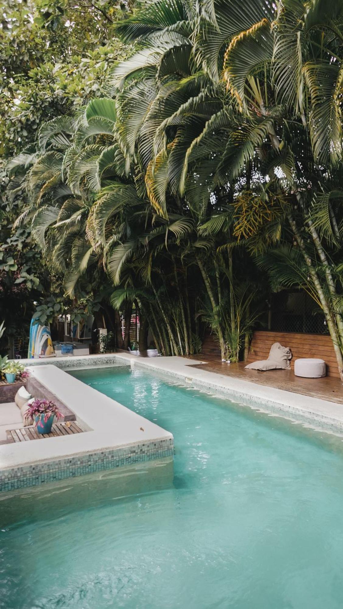 Griss Lodge & Spa Playa Santa Teresa  外观 照片