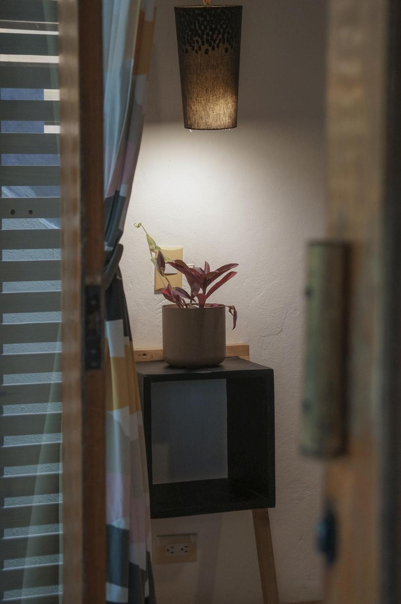 Griss Lodge & Spa Playa Santa Teresa  外观 照片